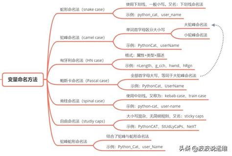 命名意思|命名 的 英语 Translation 